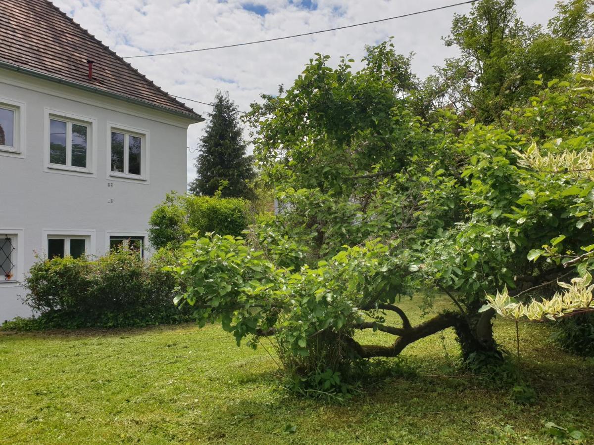 Family Apartment Linz Wohnen Mit Garten Am Fusse Des Poestlingbergs Top Lage Villenviertel Exterior photo